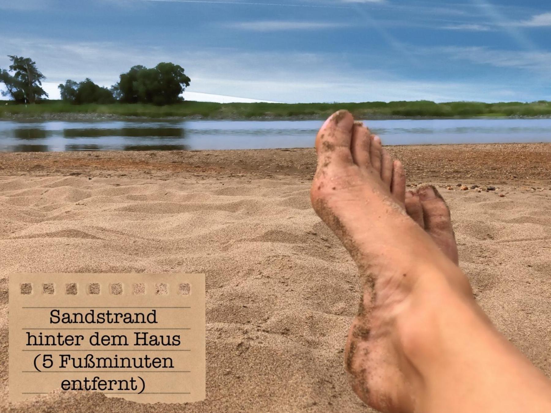 Alte Schule Wittenberg, 3 Fuer Bis Zu 12 Personen, An Der Elbe, Mit Garten Apartamento Wittenberg