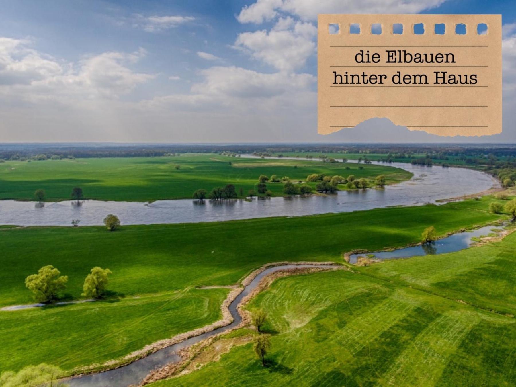 Apartment Alte Schule Wittenberg, 3 Fuer Bis Zu 12 Personen, An Der Elbe, Mit Garten Wittenberg