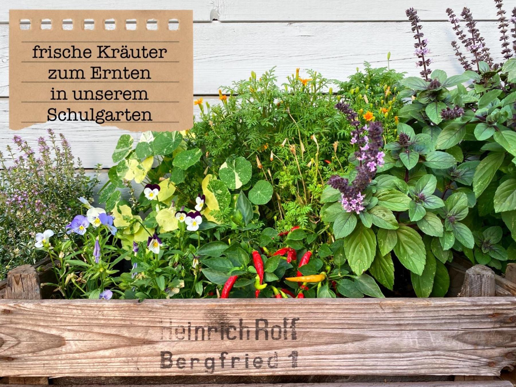 Alte Schule Wittenberg, 3 Fuer Bis Zu 12 Personen, An Der Elbe, Mit Garten Apartment Wittenberg