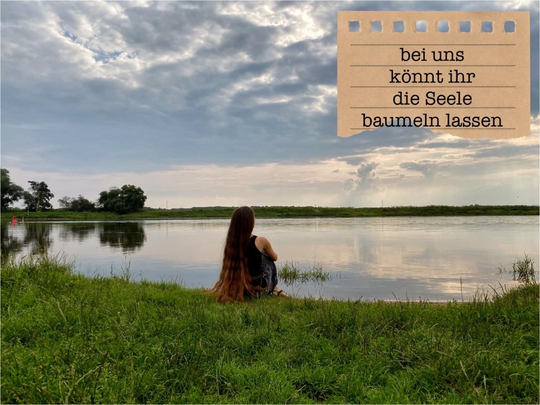 Alte Schule Wittenberg, 3 Fuer Bis Zu 12 Personen, An Der Elbe, Mit Garten *