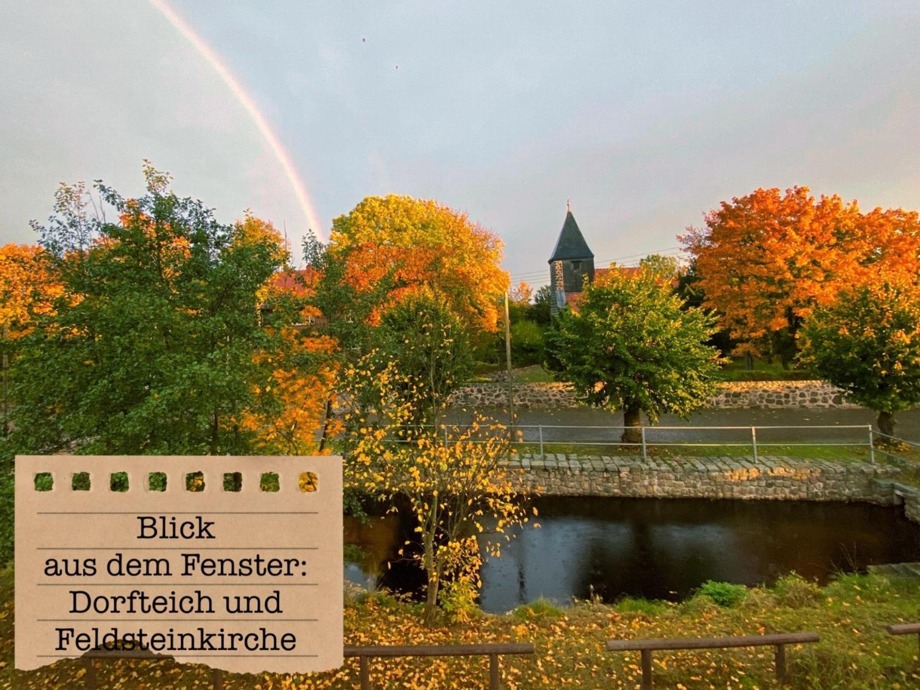 Alte Schule Wittenberg, 3 Fuer Bis Zu 12 Personen, An Der Elbe, Mit Garten Wittenberg