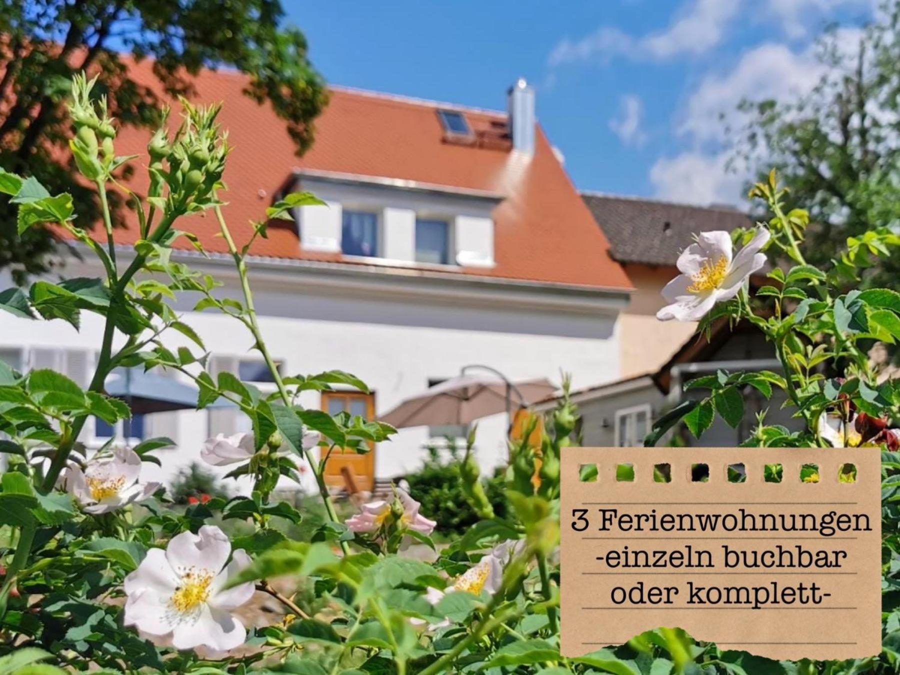 Alte Schule Wittenberg, 3 Fuer Bis Zu 12 Personen, An Der Elbe, Mit Garten Apartment