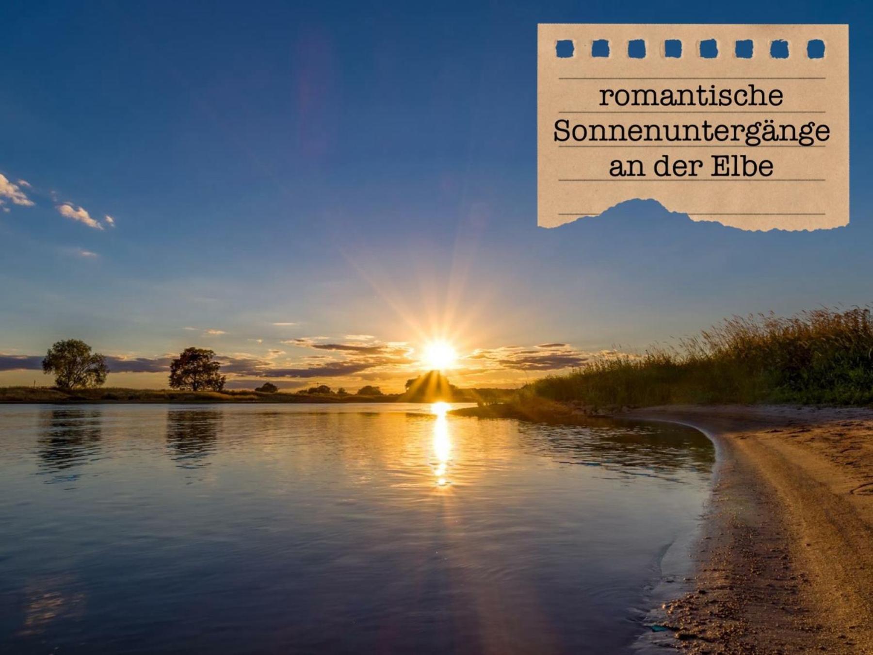 Alte Schule Wittenberg, 3 Fuer Bis Zu 12 Personen, An Der Elbe, Mit Garten Appartement *