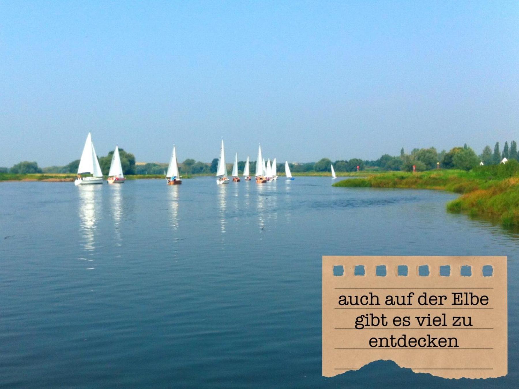 Alte Schule Wittenberg, 3 Fuer Bis Zu 12 Personen, An Der Elbe, Mit Garten