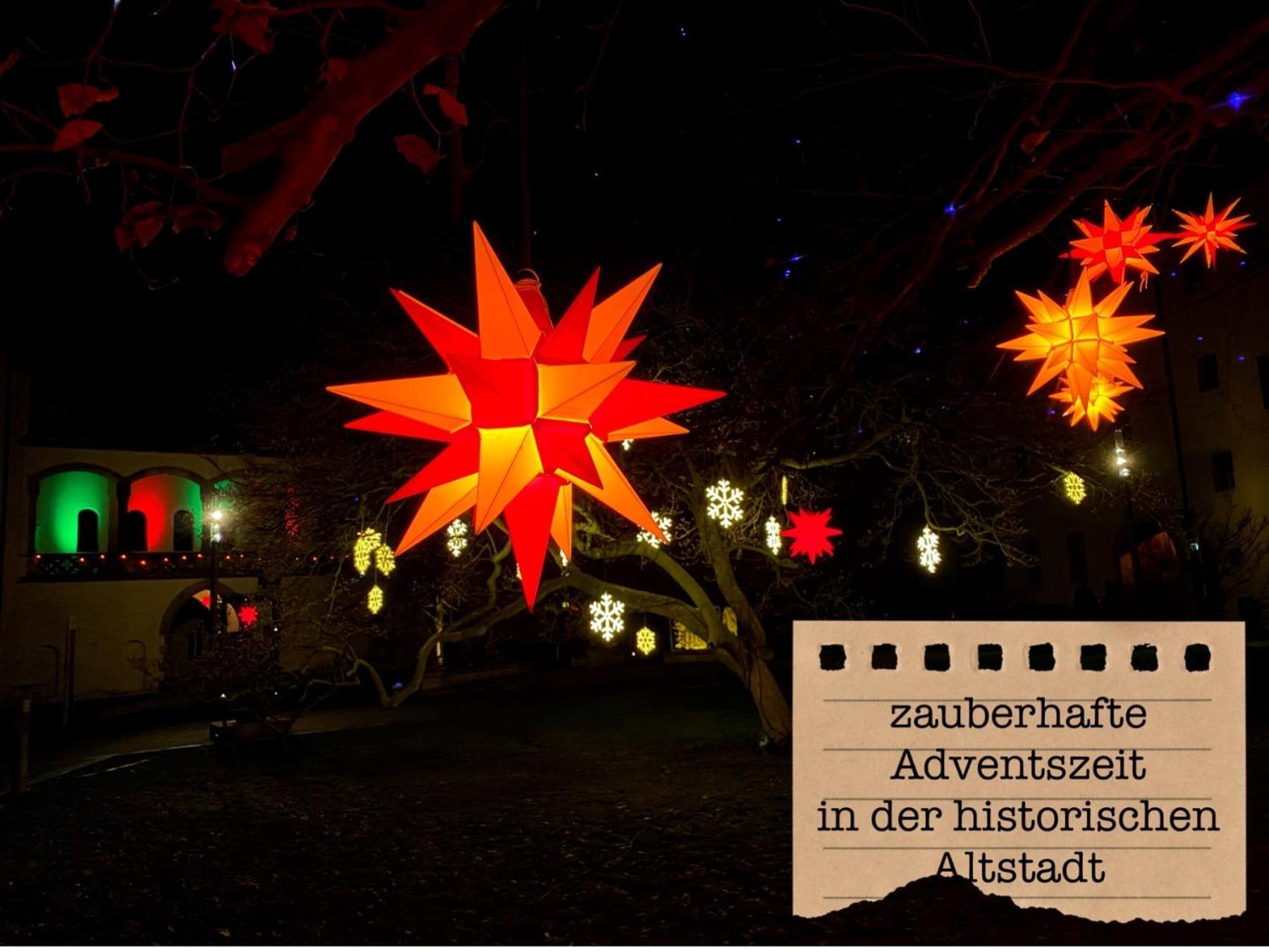 Alte Schule Wittenberg, 3 Fuer Bis Zu 12 Personen, An Der Elbe, Mit Garten * Wittenberg