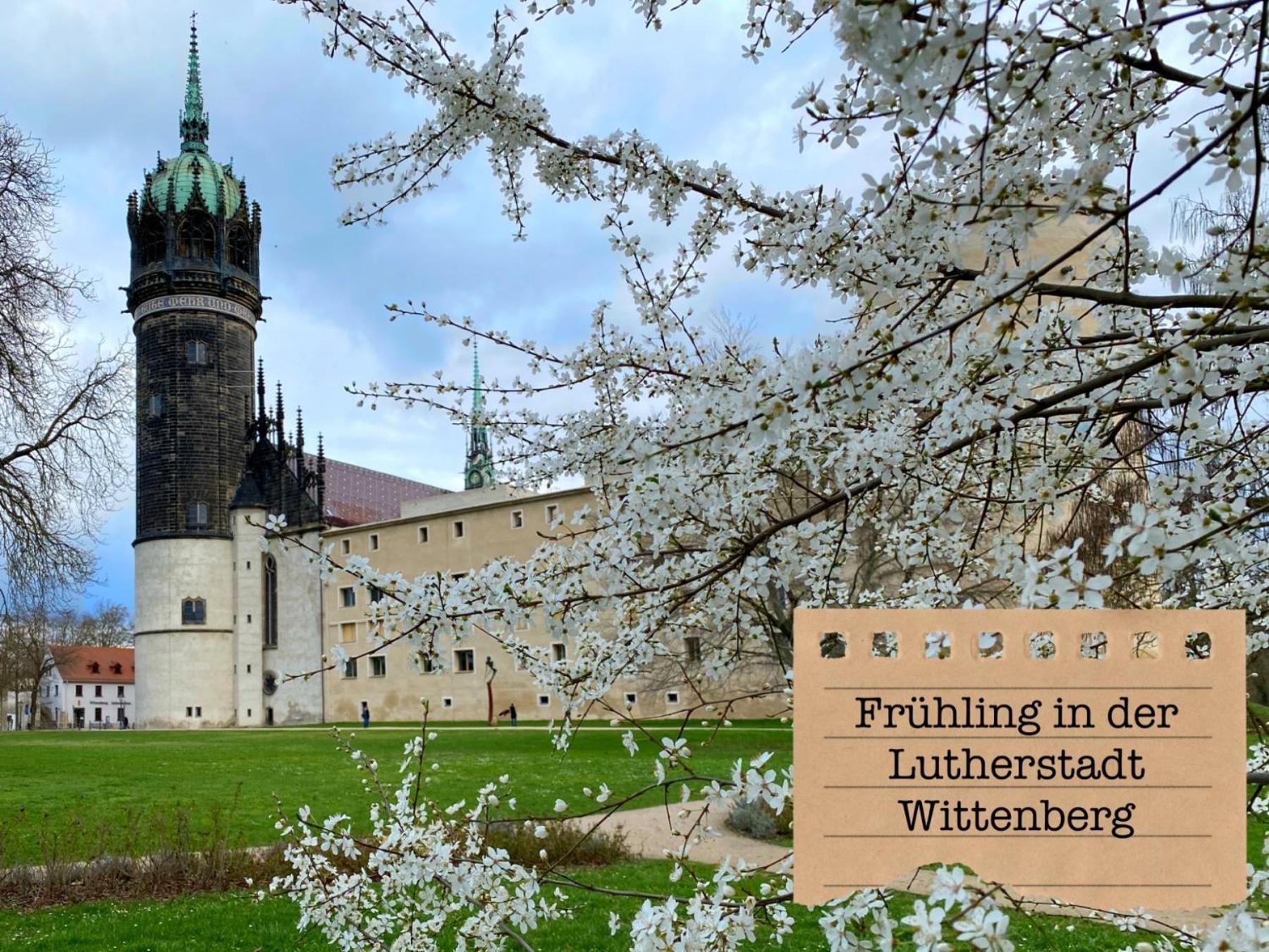 Alte Schule Wittenberg, 3 Fuer Bis Zu 12 Personen, An Der Elbe, Mit Garten Appartement Wittenberg