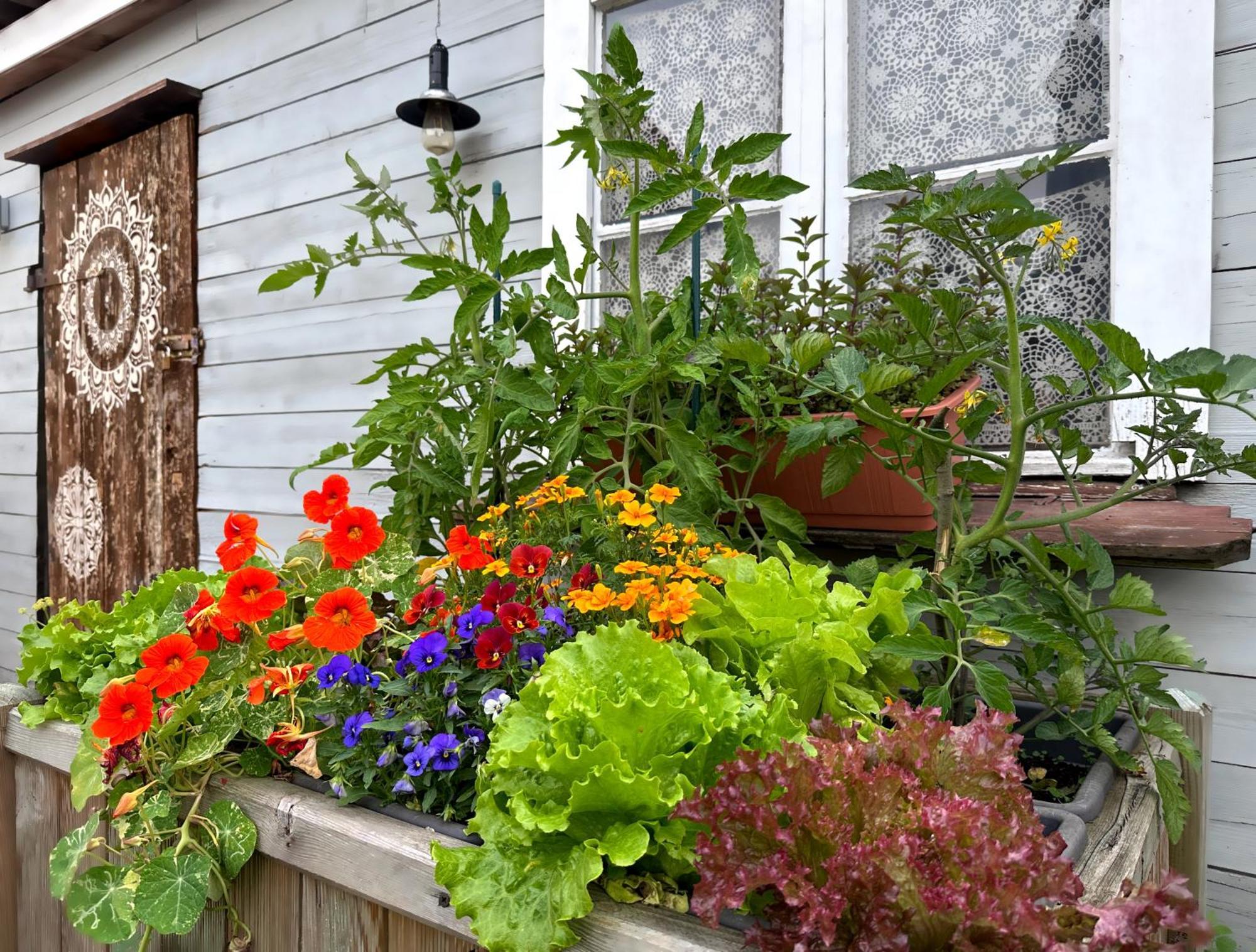 Alte Schule Wittenberg, 3 Fuer Bis Zu 12 Personen, An Der Elbe, Mit Garten Apartamento Wittenberg