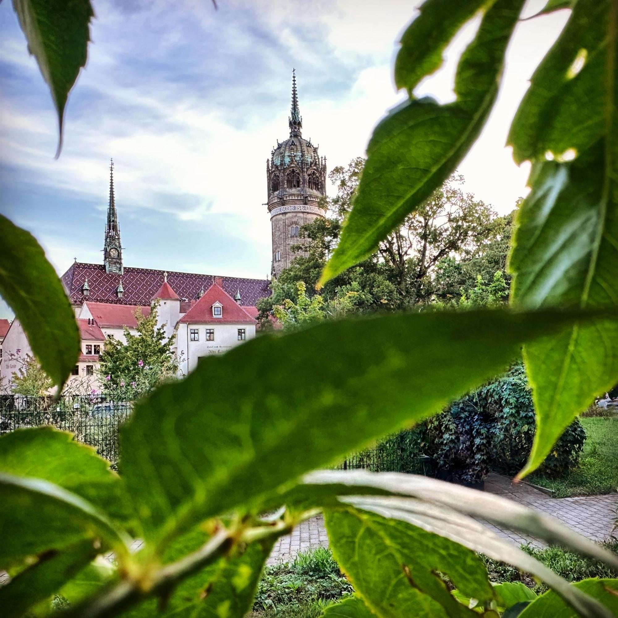 Apartment Alte Schule Wittenberg, 3 Fuer Bis Zu 12 Personen, An Der Elbe, Mit Garten Wittenberg